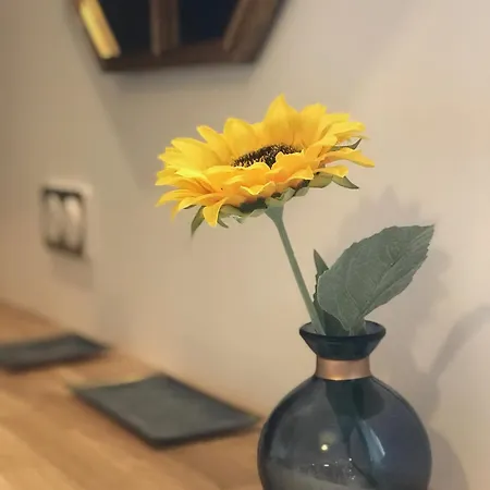 La Celeste, Et Pop Et Chic ! Poitiers