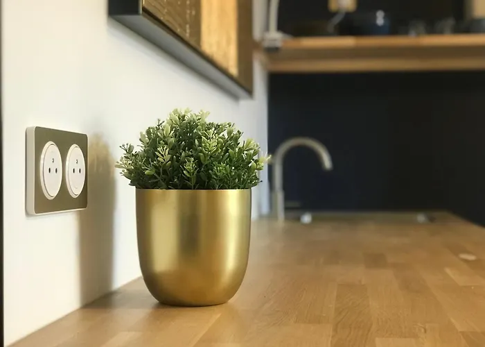 Maison d'hôtes La Céleste, Et Pop Et Chic ! Poitiers