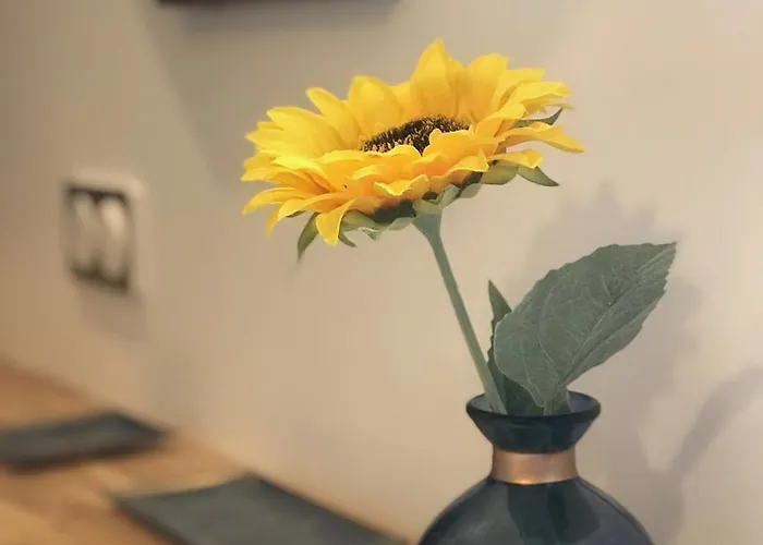 La Celeste, Et Pop Et Chic ! Poitiers